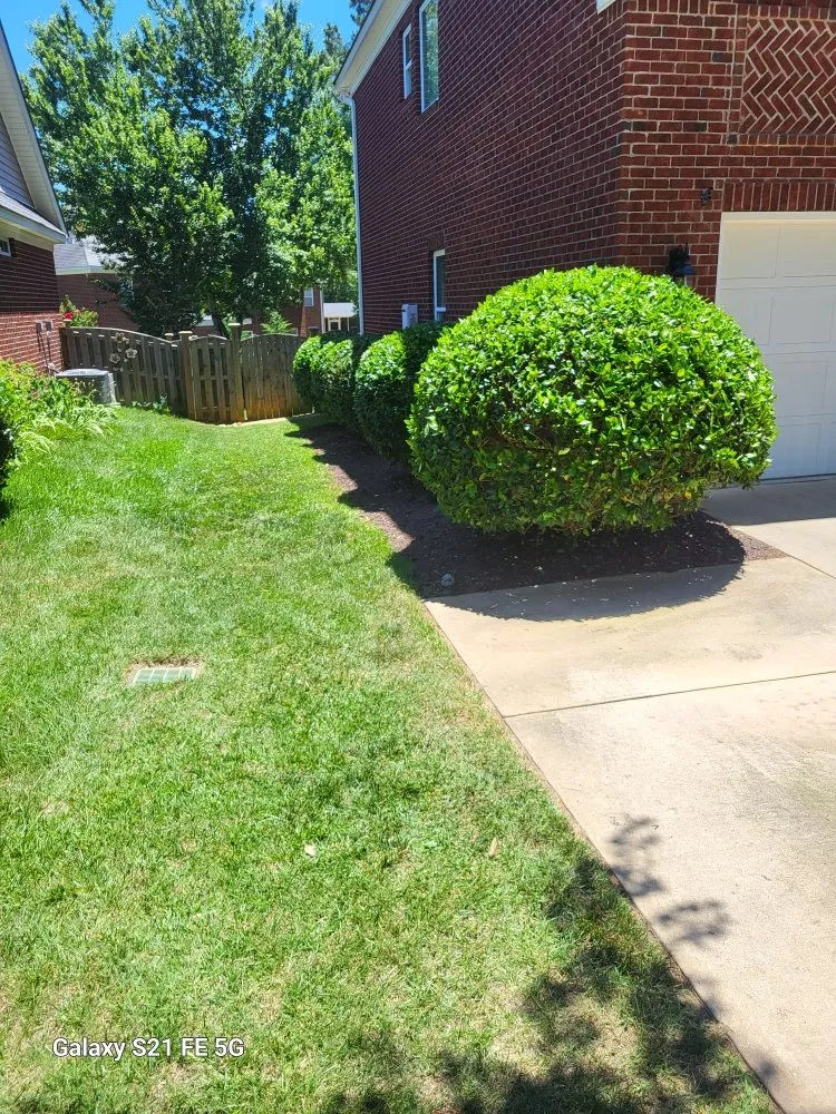 Expert landscape installation in Columbia, SC by Lawns & Moore
