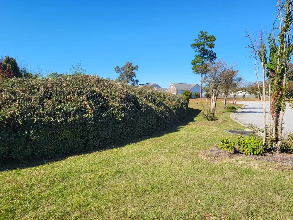 Local landscape design for beautiful yards in Columbia, SC by Lawns & Moore