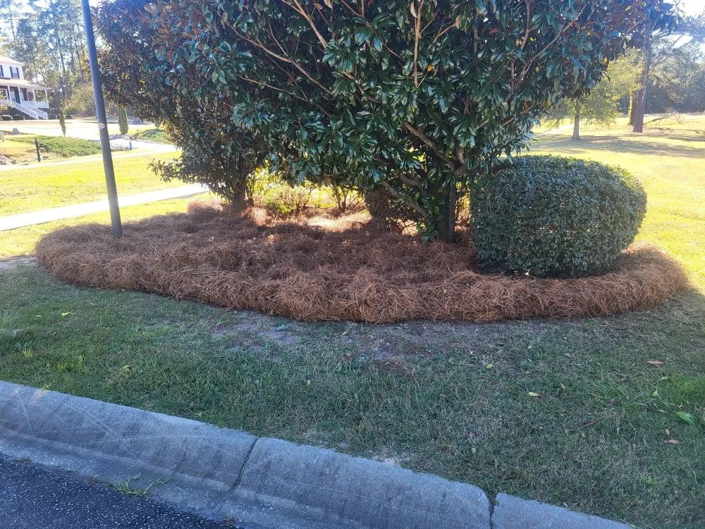 Local landscape installation near you across Columbia, SC - Lawns & Moore
