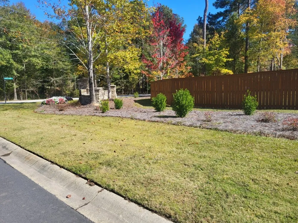 Top-rated yard maintenance in Columbia, SC by Lawns & Moore