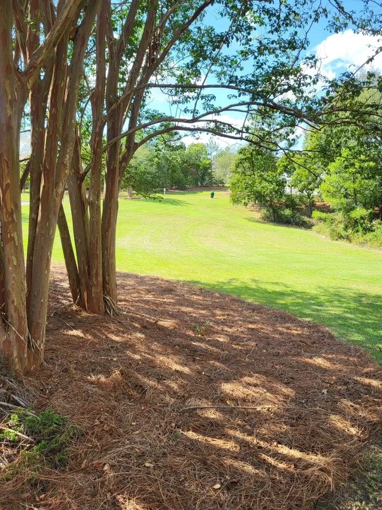 Trusted garden landscaping in Columbia, SC by Lawns & Moore