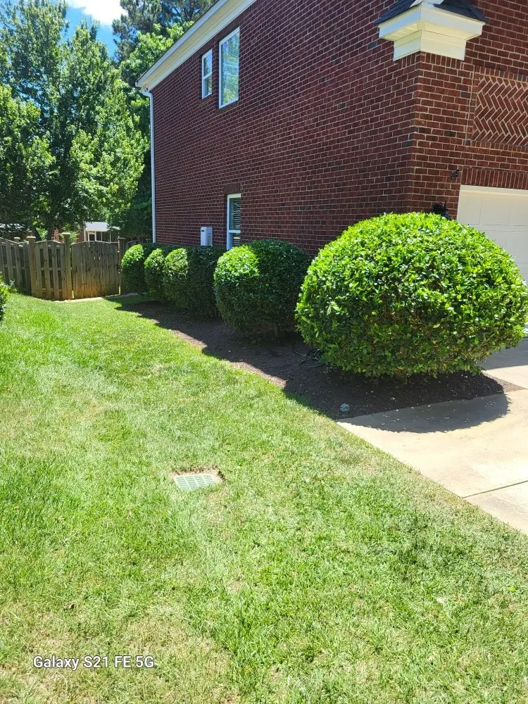 Professional garden landscaping in Columbia, SC by Lawns & Moore