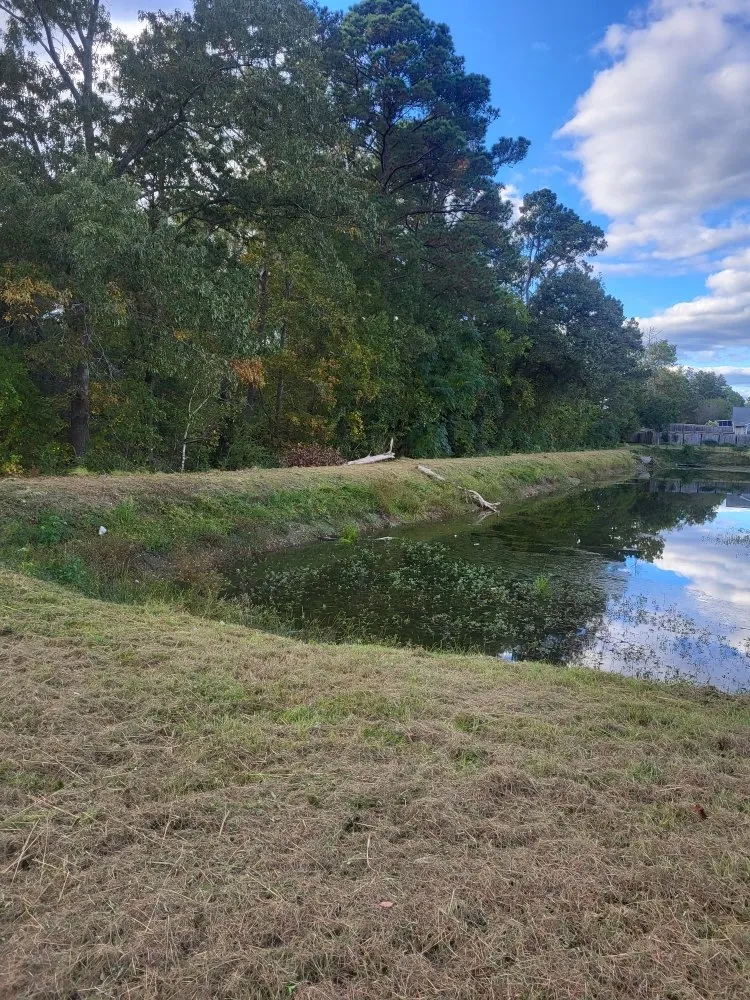 Trusted landscape design experts serving Columbia, SC - Lawns & Moore