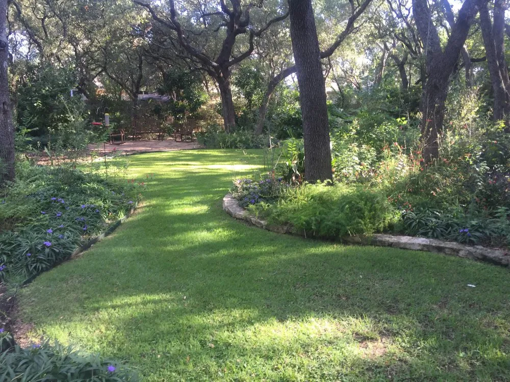 Affordable yard cleanup service experts serving Boerne, TX - Lawns & More