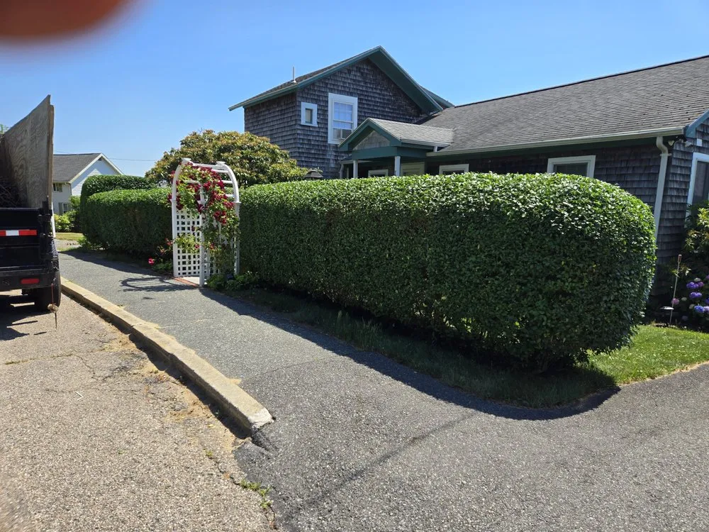 Reliable lawn care service for year-round maintenance across Buzzards Bay, MA - Lawns & More