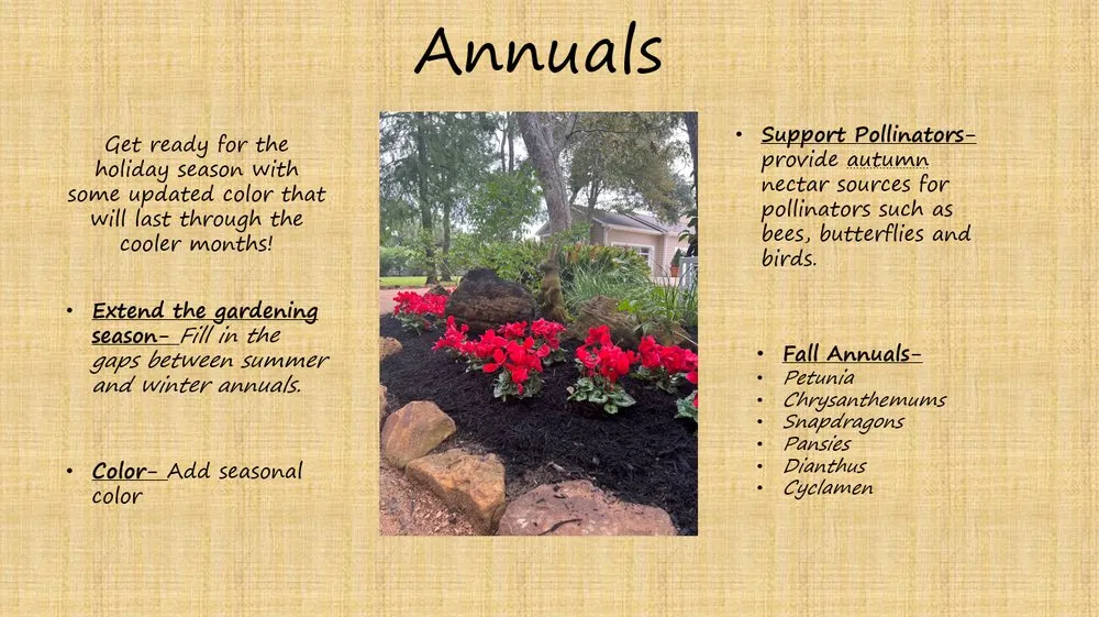 Affordable landscaping services for outdoor upgrades in Seabrook, TX by Lawns & Sprinklers USA