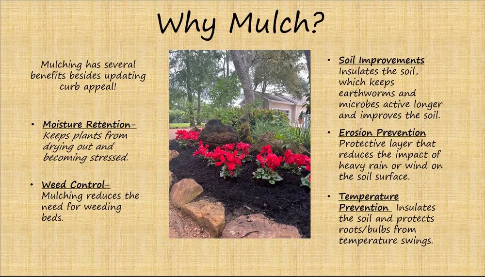 Trusted yard cleanup service in Seabrook, TX - Lawns & Sprinklers USA