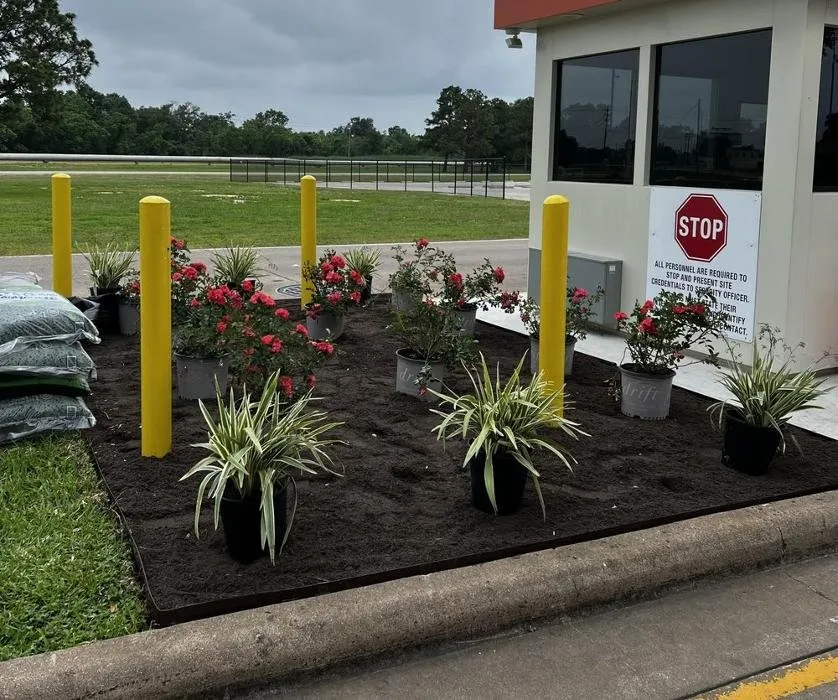 Trusted landscape installation near you across Seabrook, TX - Lawns & Sprinklers USA