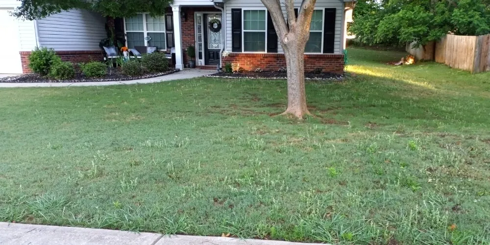 Trusted residential landscaping near you across Jefferson, GA - Lawns 4 Kings And Queens