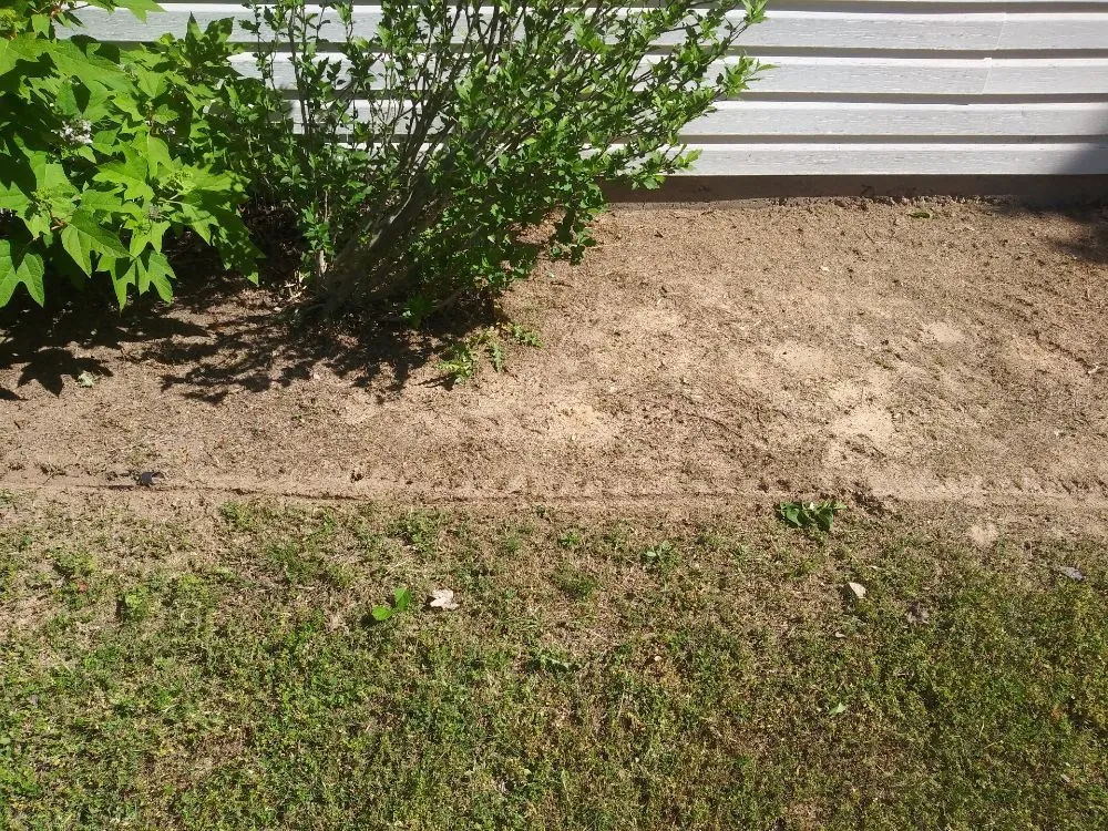 Local landscaping services experts serving Jefferson, GA - Lawns 4 Kings And Queens