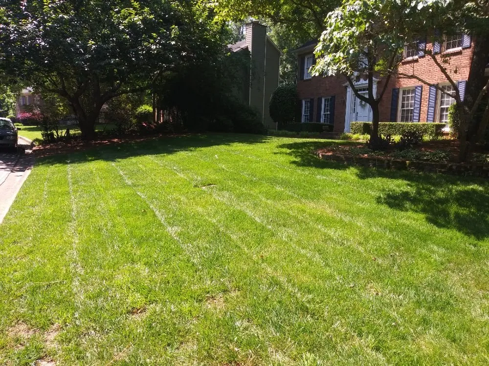 Local lawn care service in Jefferson, GA by Lawns 4 Kings And Queens