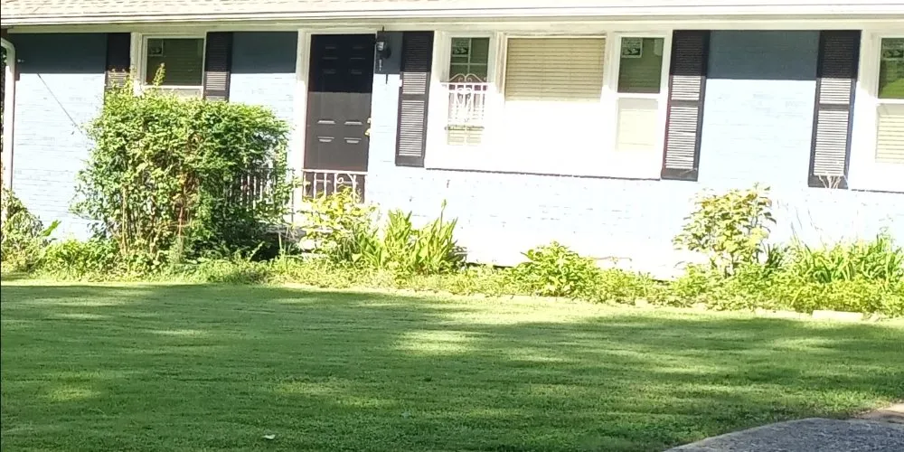 Reliable landscape design in Jefferson, GA by Lawns 4 Kings And Queens