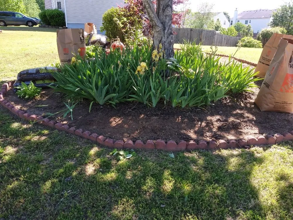 Top-rated yard maintenance for residential properties across Jefferson, GA - Lawns 4 Kings And Queens