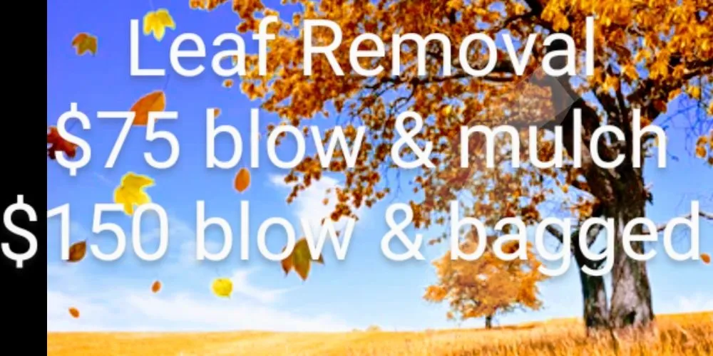 Local lawn care service for beautiful yards across Jefferson, GA - Lawns 4 Kings And Queens