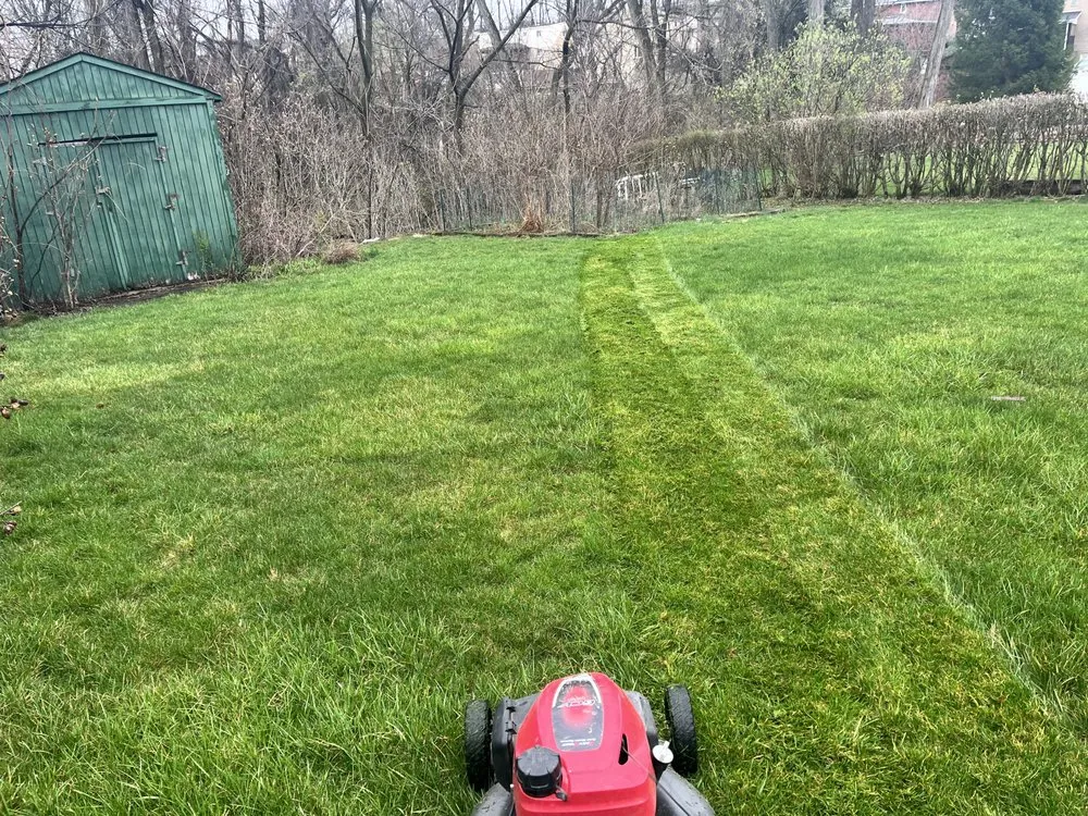 Affordable outdoor landscaping in Pittsburgh, PA by Lawns 4 Less