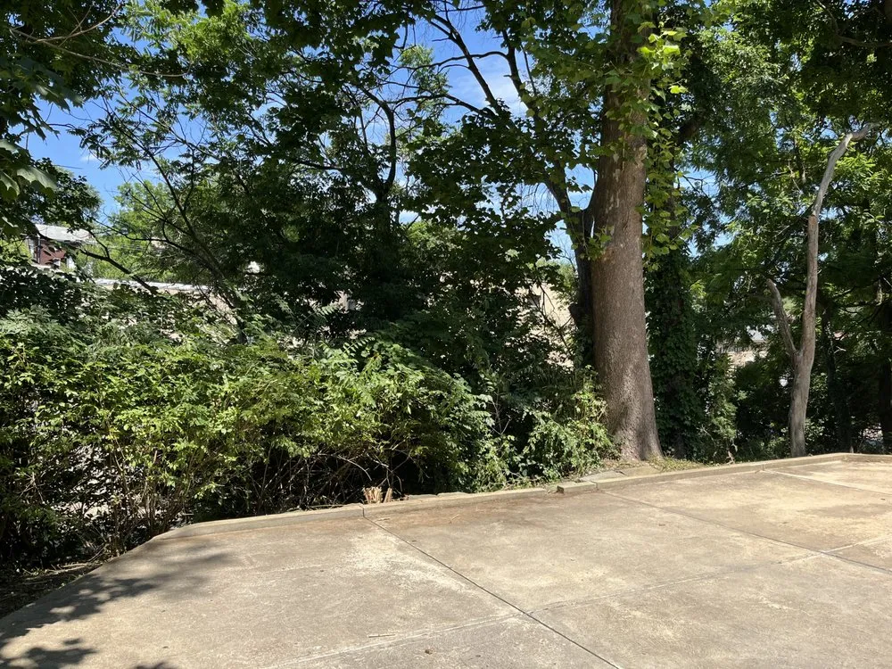 Trusted yard cleanup service near you in Pittsburgh, PA by Lawns 4 Less