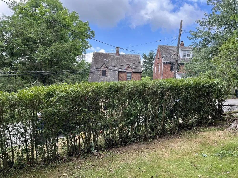 Affordable landscaping services in Pittsburgh, PA - Lawns 4 Less