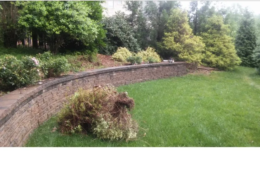 Affordable outdoor landscaping for residential properties across Cary, NC - Lawns $50