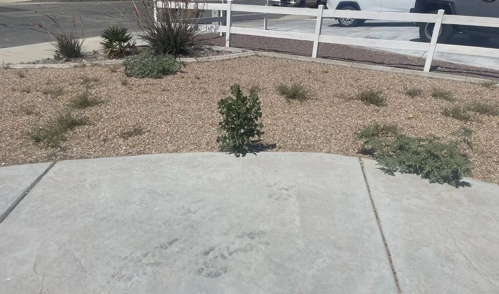 Professional landscaping services in Hesperia, CA by Lawns and Beyond & Lawncare & Landscaping