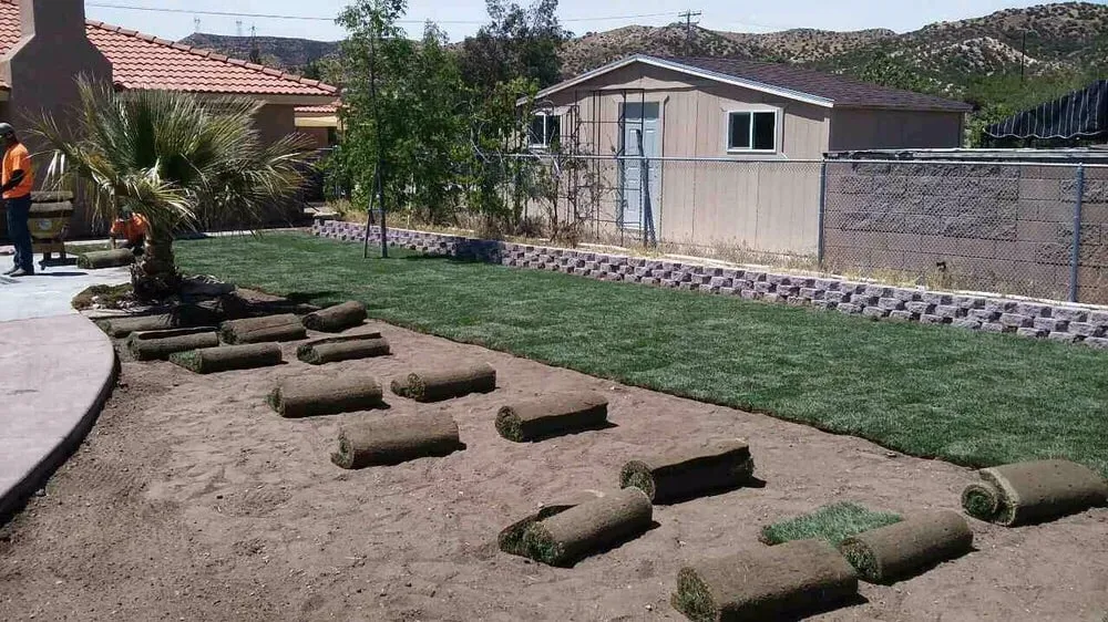 Professional residential landscaping in Hesperia, CA by Lawns and Beyond & Lawncare & Landscaping