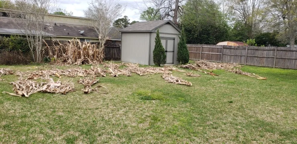 Custom garden landscaping experts serving Prairieville, LA - Lawns and Lagniappe