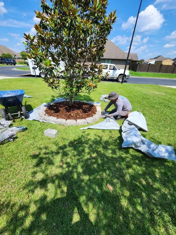 Reliable landscape installation for residential properties in Prairieville, LA by Lawns and Lagniappe
