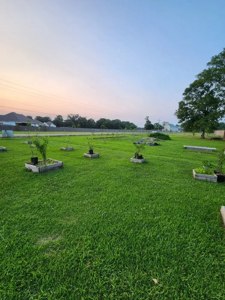 Professional yard cleanup service experts serving Prairieville, LA - Lawns and Lagniappe