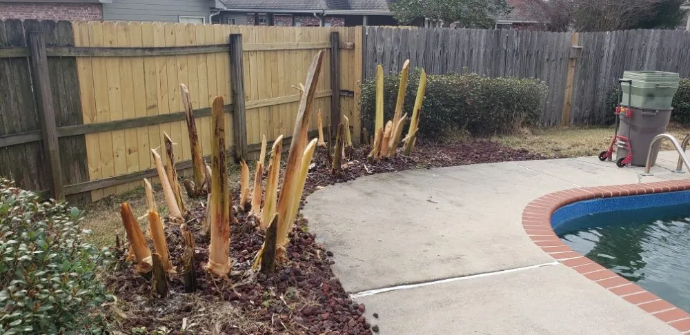 Trusted lawn mowing service for beautiful yards across Prairieville, LA - Lawns and Lagniappe