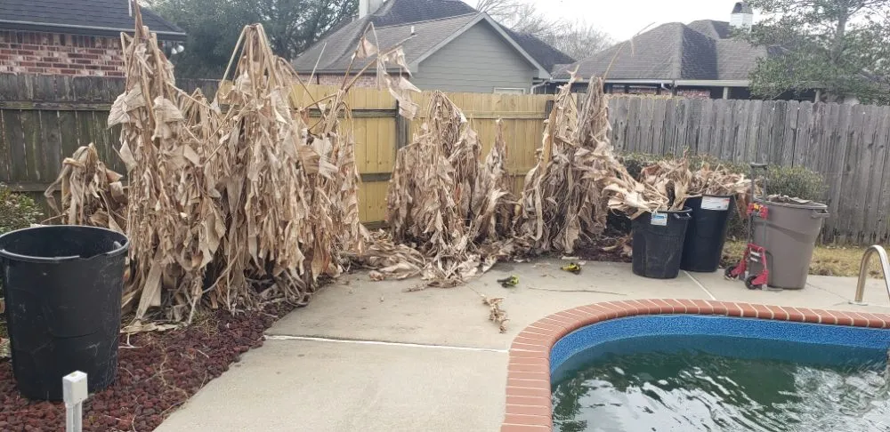 Expert landscape design for outdoor upgrades in Prairieville, LA by Lawns and Lagniappe