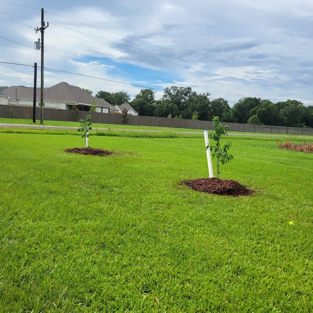 Trusted garden landscaping for outdoor upgrades in Prairieville, LA by Lawns and Lagniappe