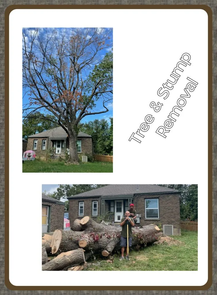 Expert lawn mowing service with custom design across Seminole, OK - Lawns and Lots