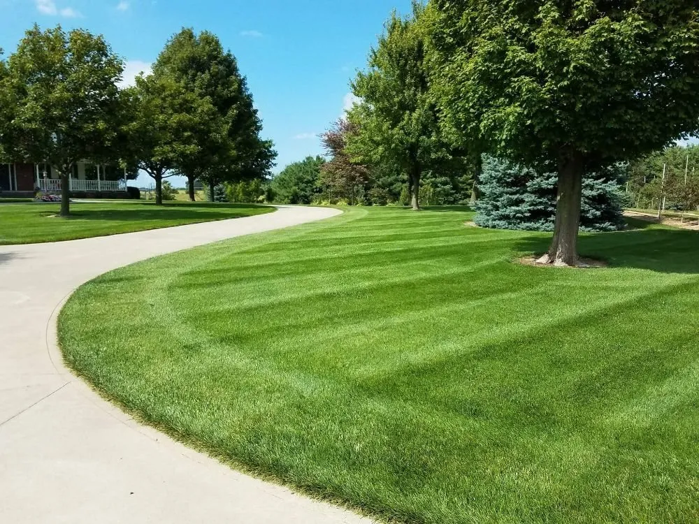 Top-rated yard cleanup service for homes in Kendallville, IN by Lawns and More