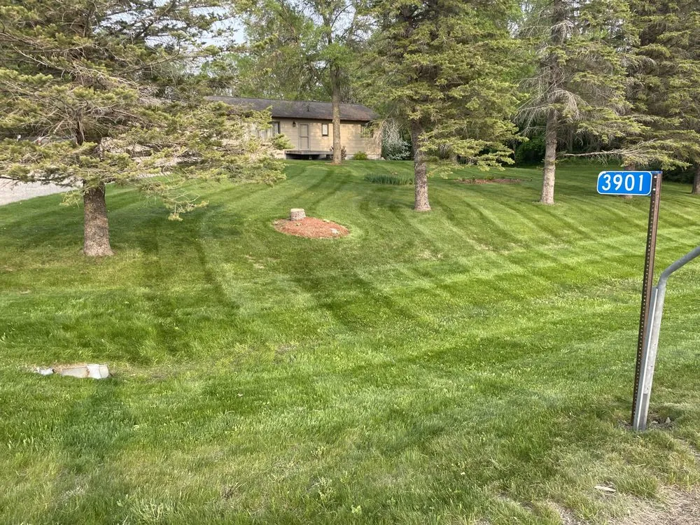 Reliable landscaping services in Clarissa, MN - Lawns and More Property Maintenance