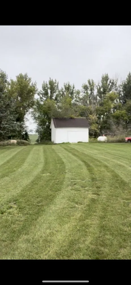 Professional yard cleanup service in Clarissa, MN by Lawns and More Property Maintenance