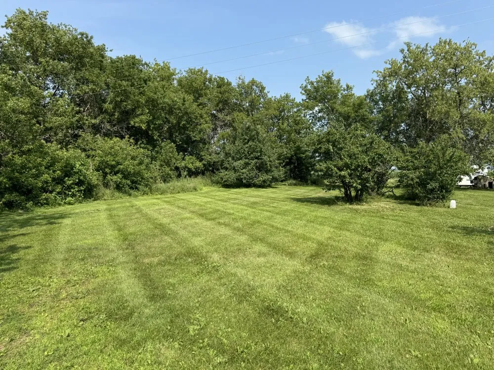 Professional lawn care service in Clarissa, MN by Lawns and More Property Maintenance