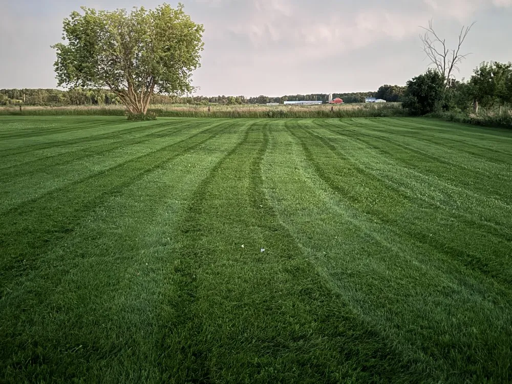 Affordable landscape design in Clarissa, MN - Lawns and More Property Maintenance