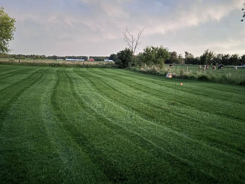 Top-rated landscaping services for homes in Clarissa, MN by Lawns and More Property Maintenance