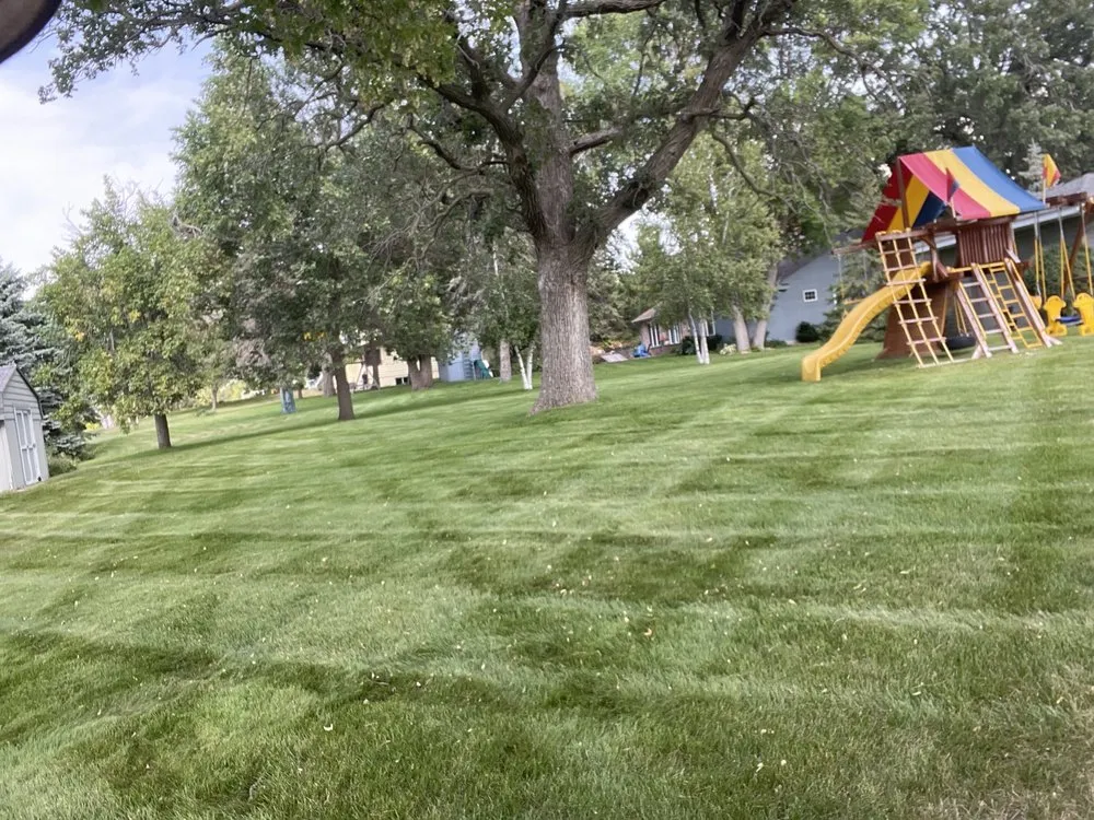 Affordable yard maintenance in Clarissa, MN - Lawns and More Property Maintenance