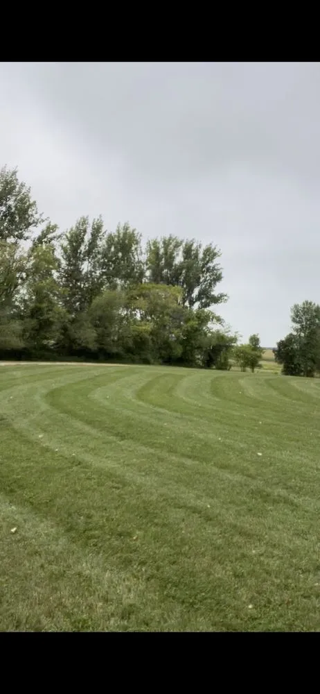 Expert landscape design in Clarissa, MN - Lawns and More Property Maintenance