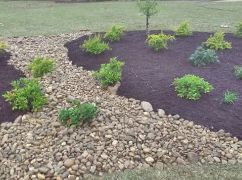 Reliable yard maintenance in White Oak, TX - Lawns and More