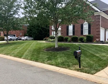 Expert garden landscaping for outdoor upgrades across Monroe, NC - Lawns and Stripes Lawn Care Services