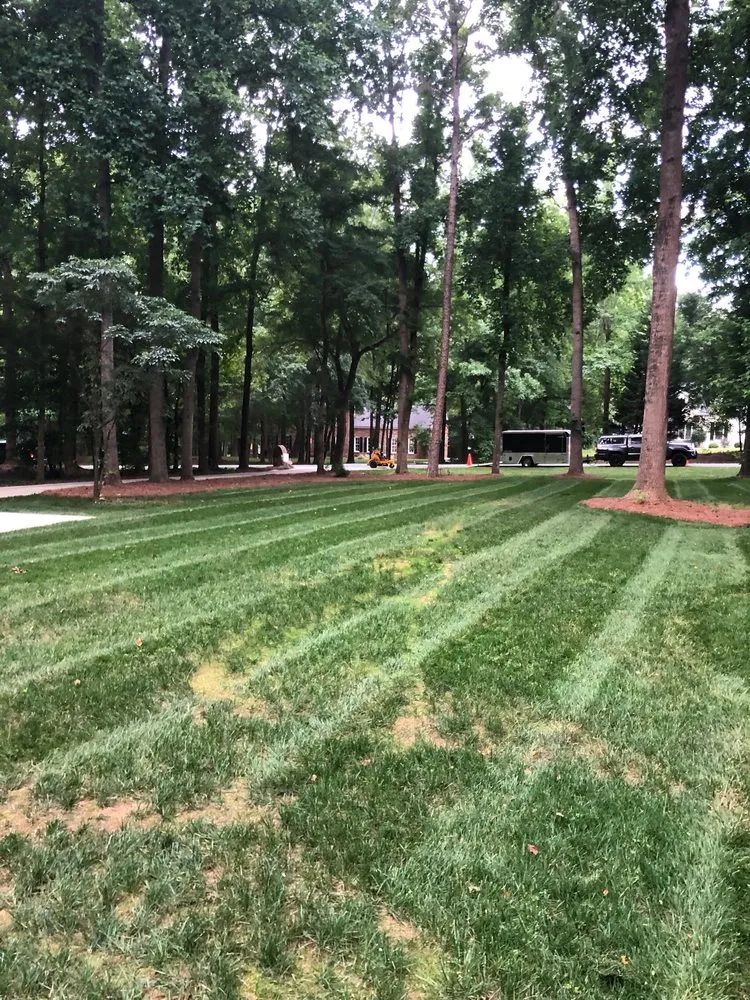 Local landscape design experts serving Monroe, NC - Lawns and Stripes Lawn Care Services