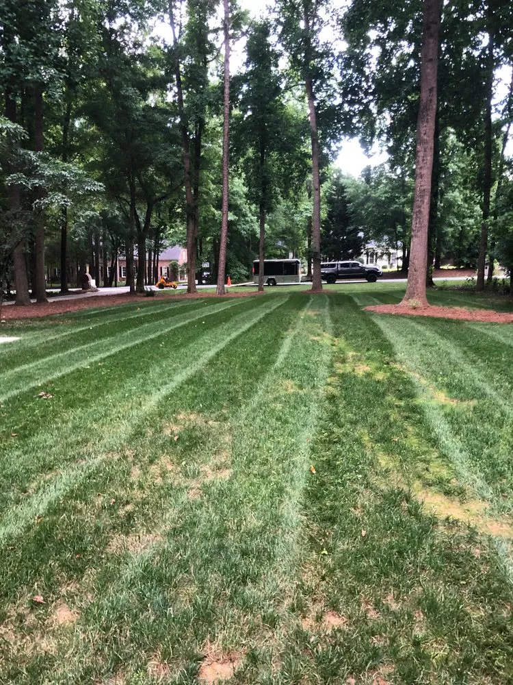 Professional yard cleanup service in Monroe, NC - Lawns and Stripes Lawn Care Services