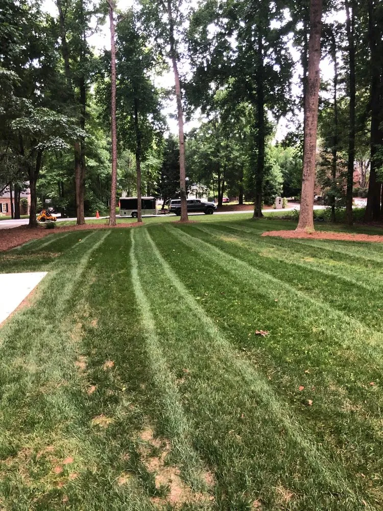 Professional yard maintenance with custom design in Monroe, NC by Lawns and Stripes Lawn Care Services