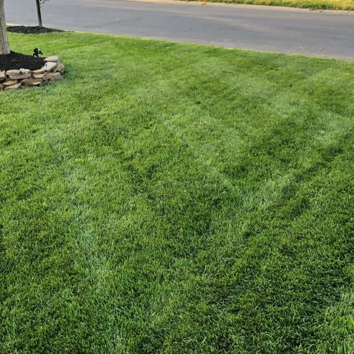 Affordable lawn mowing service for year-round maintenance in Monroe, NC by Lawns and Stripes Lawn Care Services