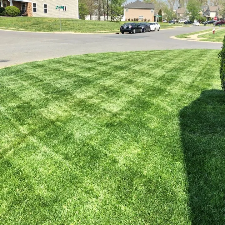 Expert lawn care service with custom design across Monroe, NC - Lawns and Stripes Lawn Care Services