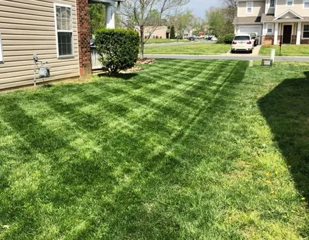 Expert landscaping services in Monroe, NC by Lawns and Stripes Lawn Care Services