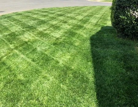 Professional lawn mowing service experts serving Monroe, NC - Lawns and Stripes Lawn Care Services