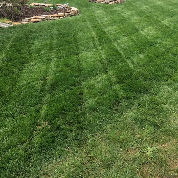 Trusted landscaping services in Monroe, NC - Lawns and Stripes Lawn Care Services
