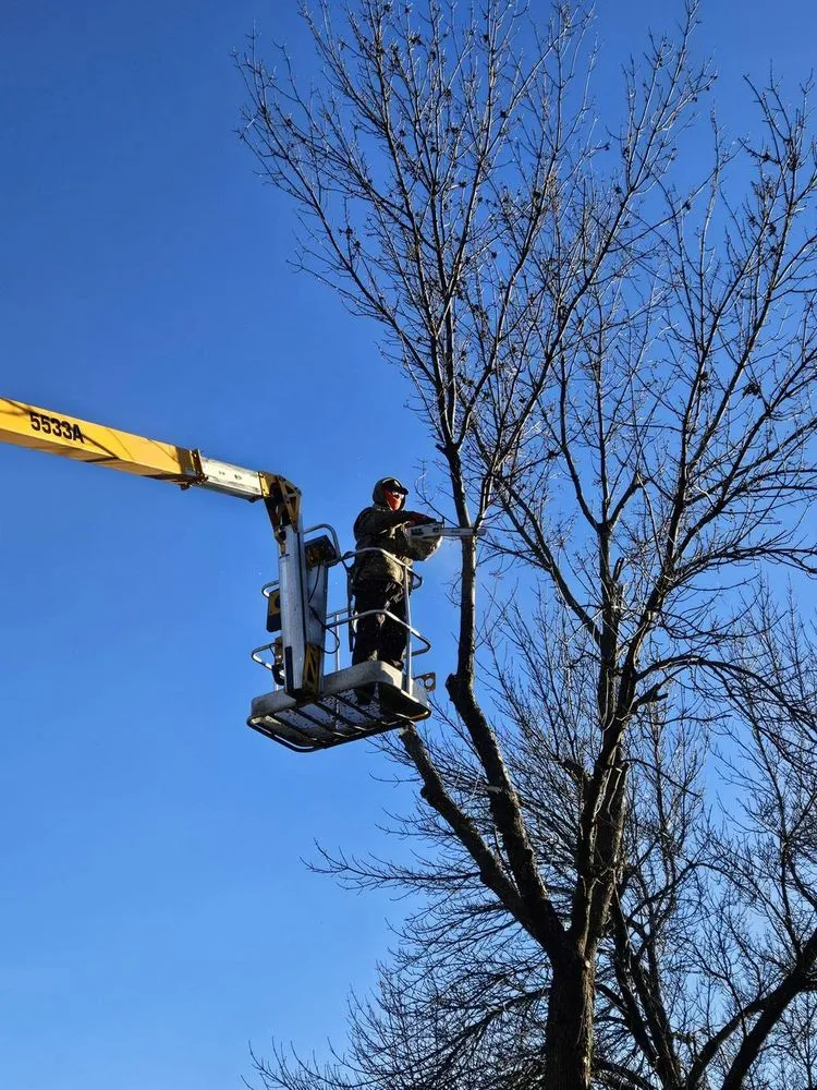 Top-rated residential landscaping in Jordan, MN - Lawns Are Us